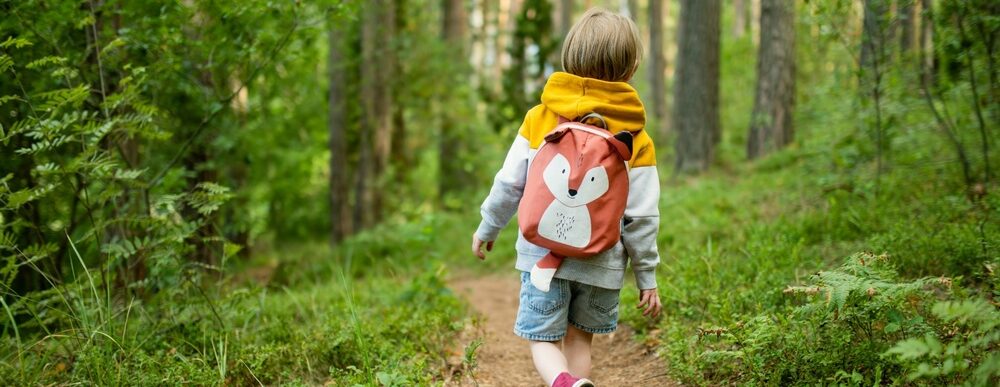 A child following a path through a wood.