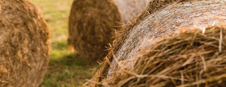 A haystack in a field.