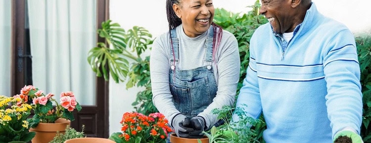 A couple potting plants together.